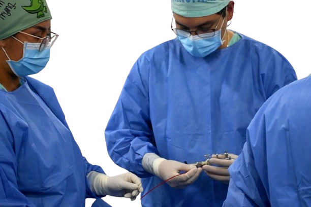 Urologia